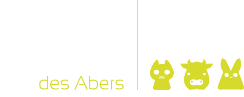 Site de rencontre veuf